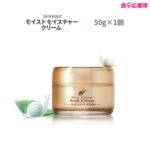 skin holic スキンホリック モイストモイスチャークリーム 50g 韓国コスメ