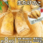 【3日以内発送】生たけのこ 約8kg ＜5~10本入×4箱＞ 新タケノコ 中国産 厳選フレッシュ筍 鮮度自慢 おせち料理食材 新鮮孟宗筍本体 旬の食材 香り高くシャキシャキ食感 お歳暮 冬笋 竹笋 家庭用 業務用 冬春限定【数量割引対象】サイズが選べる＜送料込＞＜配達日指定可＞