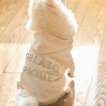 【CAT&DOG】【販路限定商品】 裏毛フーディー GELATO PIQUE CAT&DOG ジェラートピケ ペット用品 ペットウェア・ペット服 ホワイト ピンク ブルー【送料無料】[Rakuten Fashion]