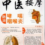 喘息咽頭炎の予防・治療マッサージ　中医漢方　中国語版DVD